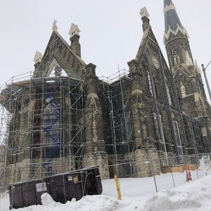 Meet your Posher, Tracy